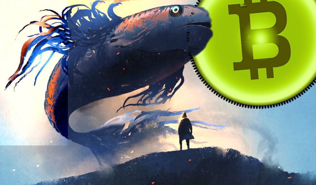 Mysterious Bitcoin Whale Abruptly Moves Over 4,000,000 in BTC – Here’s Where the Crypto’s Headed