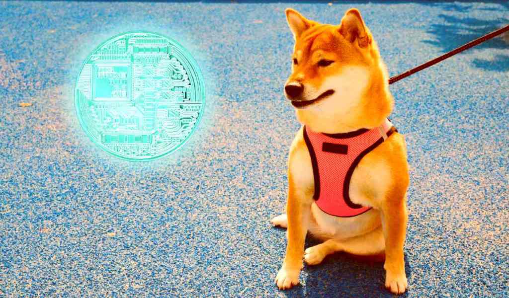 Dogecoin (DOGE) Drops 6% As Elon Musk’s SpaceX Test Rocket Launches, Explodes