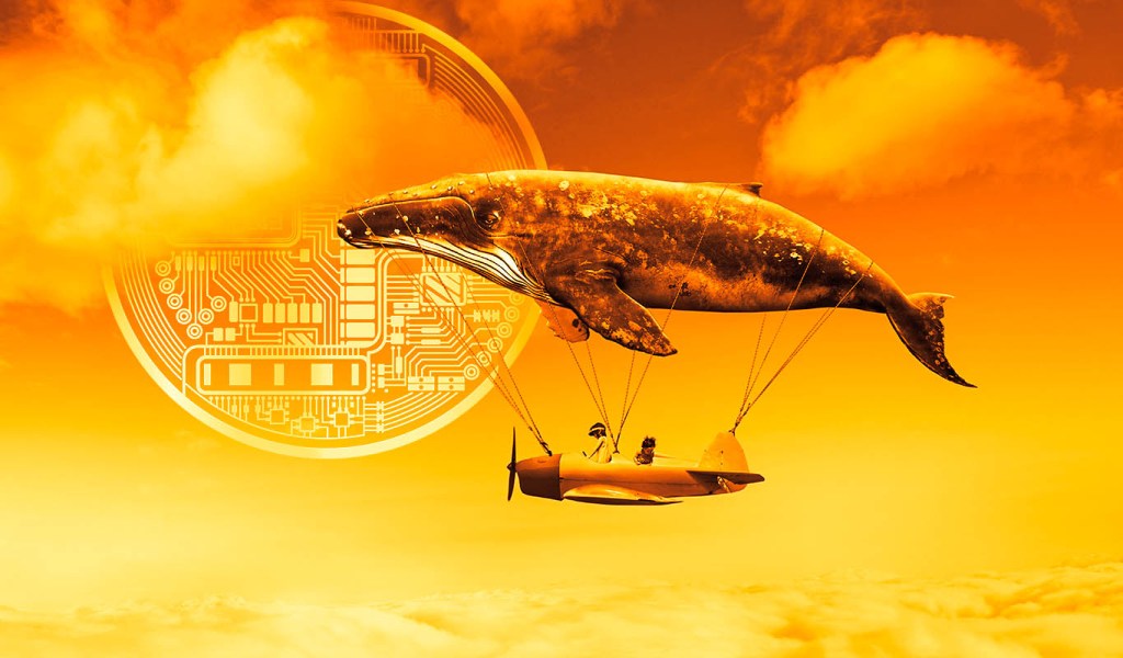 World’s Biggest Ethereum Whales Accumulate Aave, Compound and Four Additional Altcoins: On-Chain Data