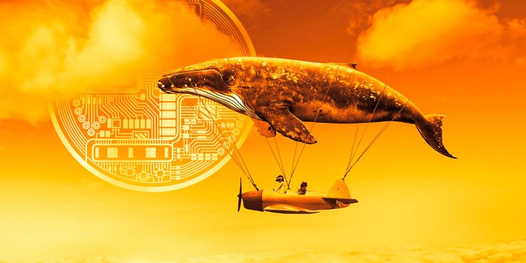 crypto whale gaming altcoin