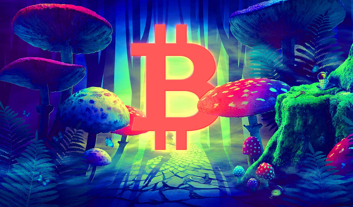 willy woo bitcoin asset Veteran Trader Tone Vays Says Bitcoin Looks Terrible, Unveils Price Target and Date for BTC Bottom