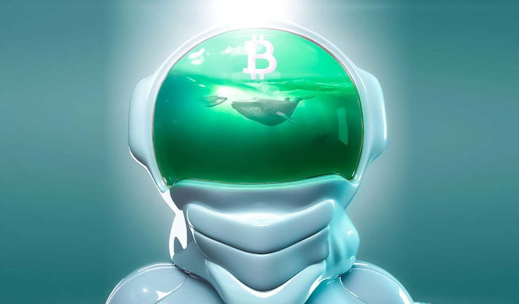 Bitcoin Whales Move 5,000,000 in BTC As Markets Fly – Here’s Where the Crypto Is Now