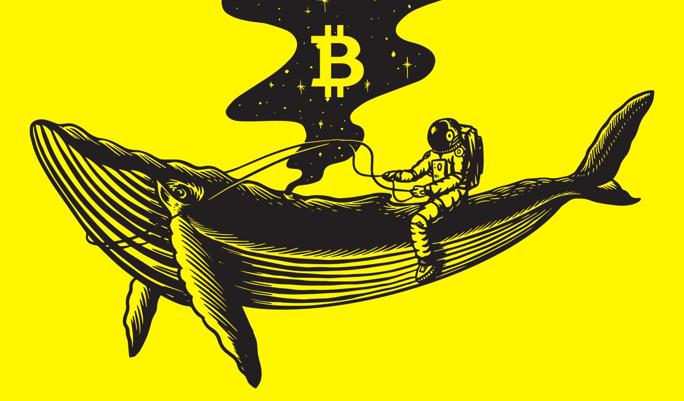 Crypto whales again active in the market