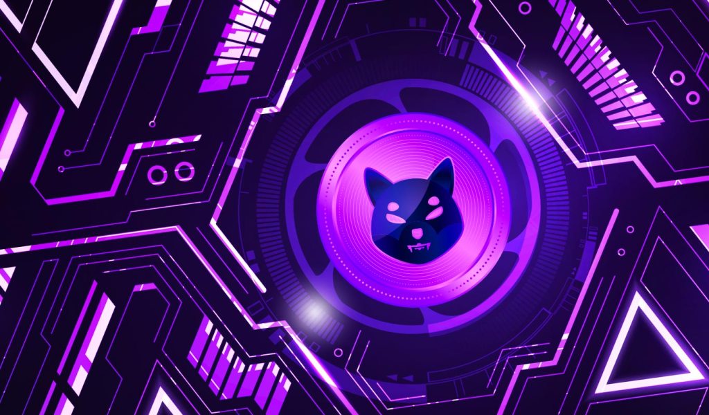 Lead Shiba Inu Developer Springs Big Update on Much-Awaited Evolution of Crypto Project Shibarium